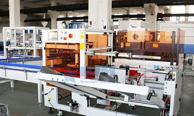 Carton Package Machine